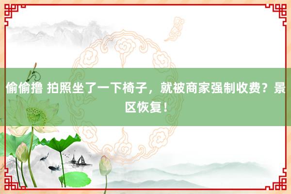 偷偷撸 拍照坐了一下椅子,就被商家强制收费?景区恢复!