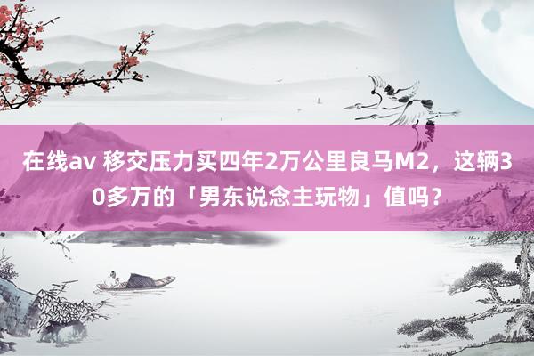在线av 移交压力买四年2万公里良马M2，这辆30多万的「男东说念主玩物」值吗？