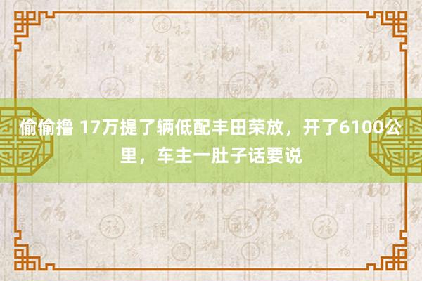 偷偷撸 17万提了辆低配丰田荣放，开了6100公里，车主一肚子话要说
