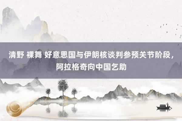 清野 裸舞 好意思国与伊朗核谈判参预关节阶段，阿拉格奇向中国乞助