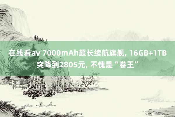 在线看av 7000mAh超长续航旗舰， 16GB+1TB突降到2805元， 不愧是“卷王”
