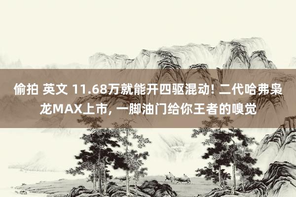 偷拍 英文 11.68万就能开四驱混动! 二代哈弗枭龙MAX上市， 一脚油门给你王者的嗅觉