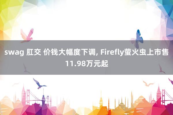 swag 肛交 价钱大幅度下调， Firefly萤火虫上市售11.98万元起