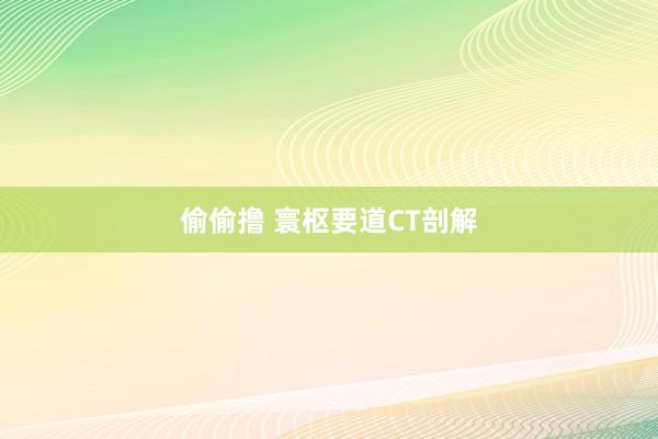 偷偷撸 寰枢要道CT剖解